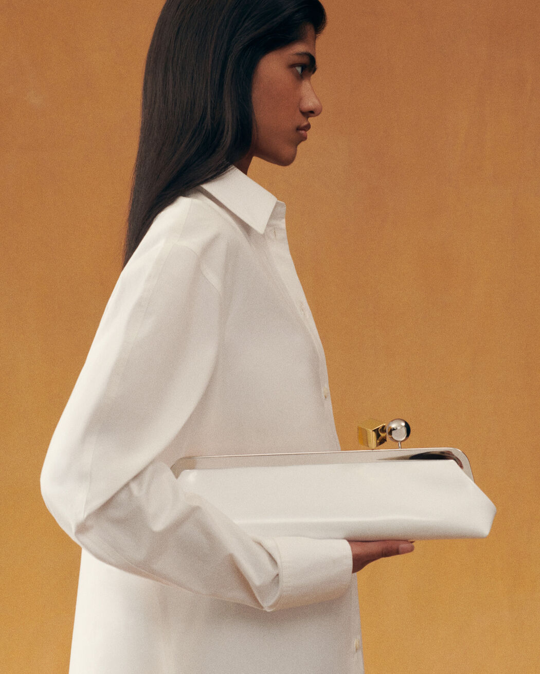 The Salon Clutch jacquemus the salon clutch