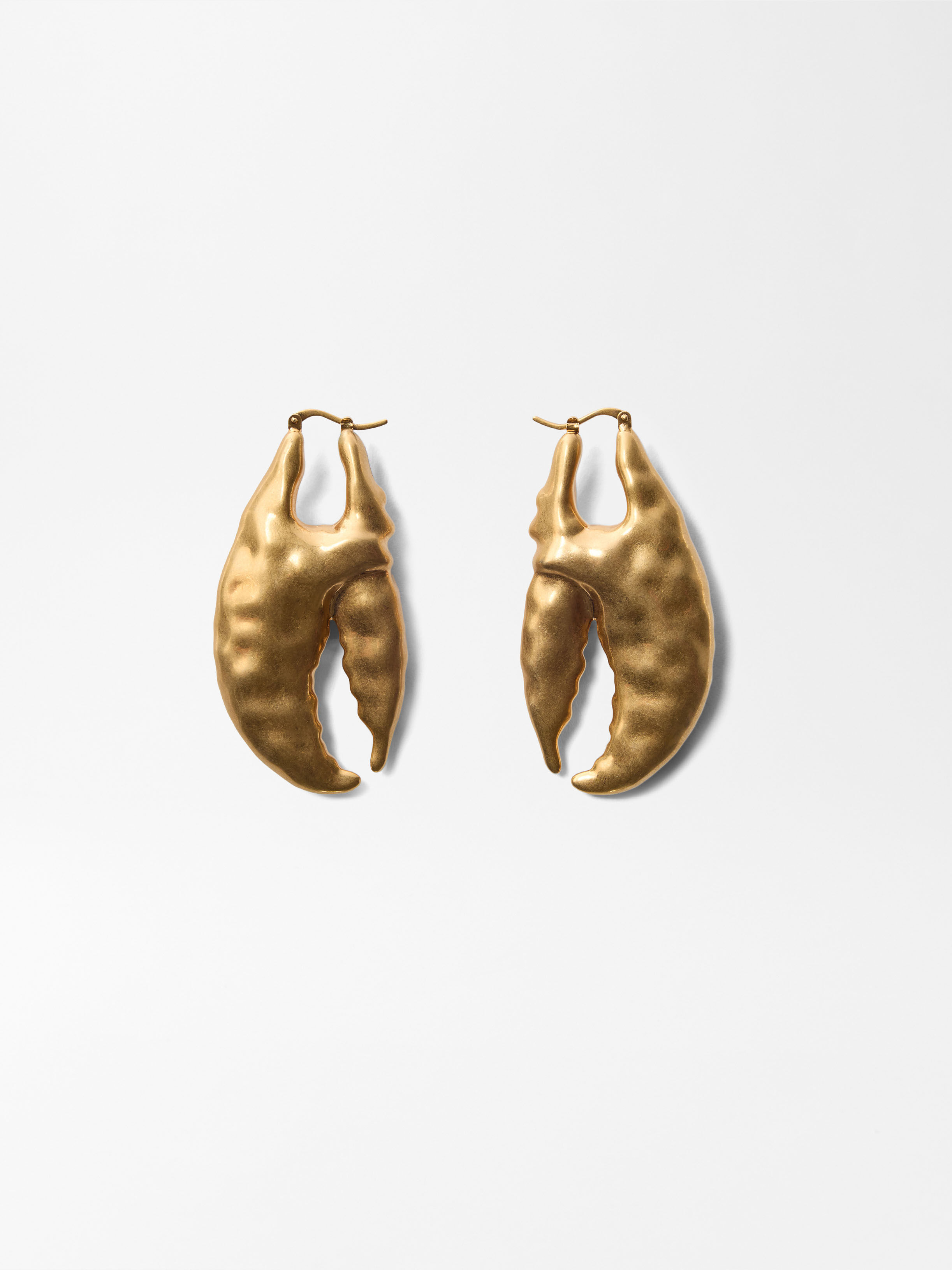 The Poisson Earrings