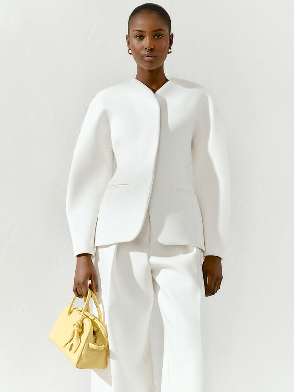 The small Turismo jacquemus the small turismo