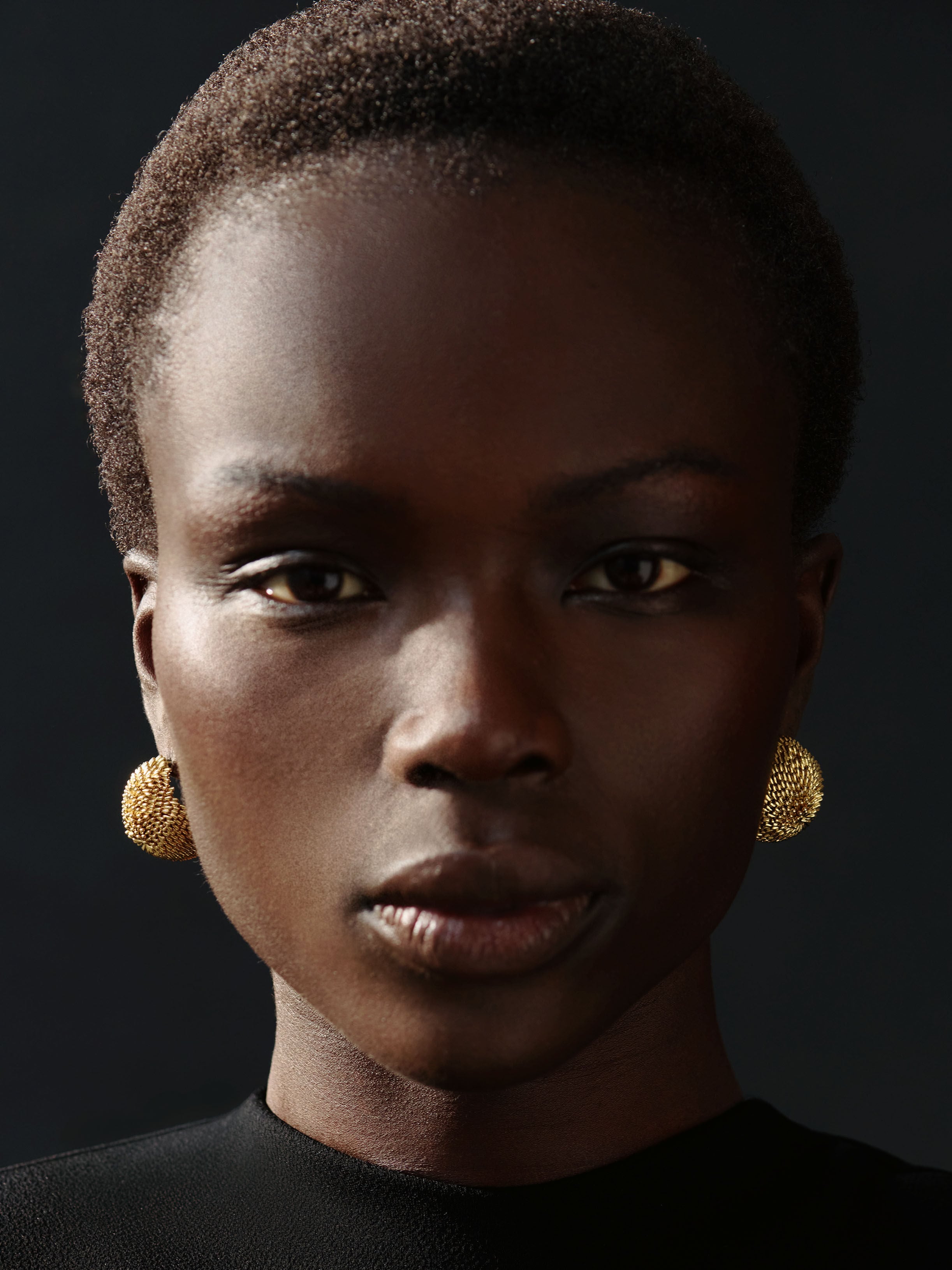 The Hérisson Earrings
