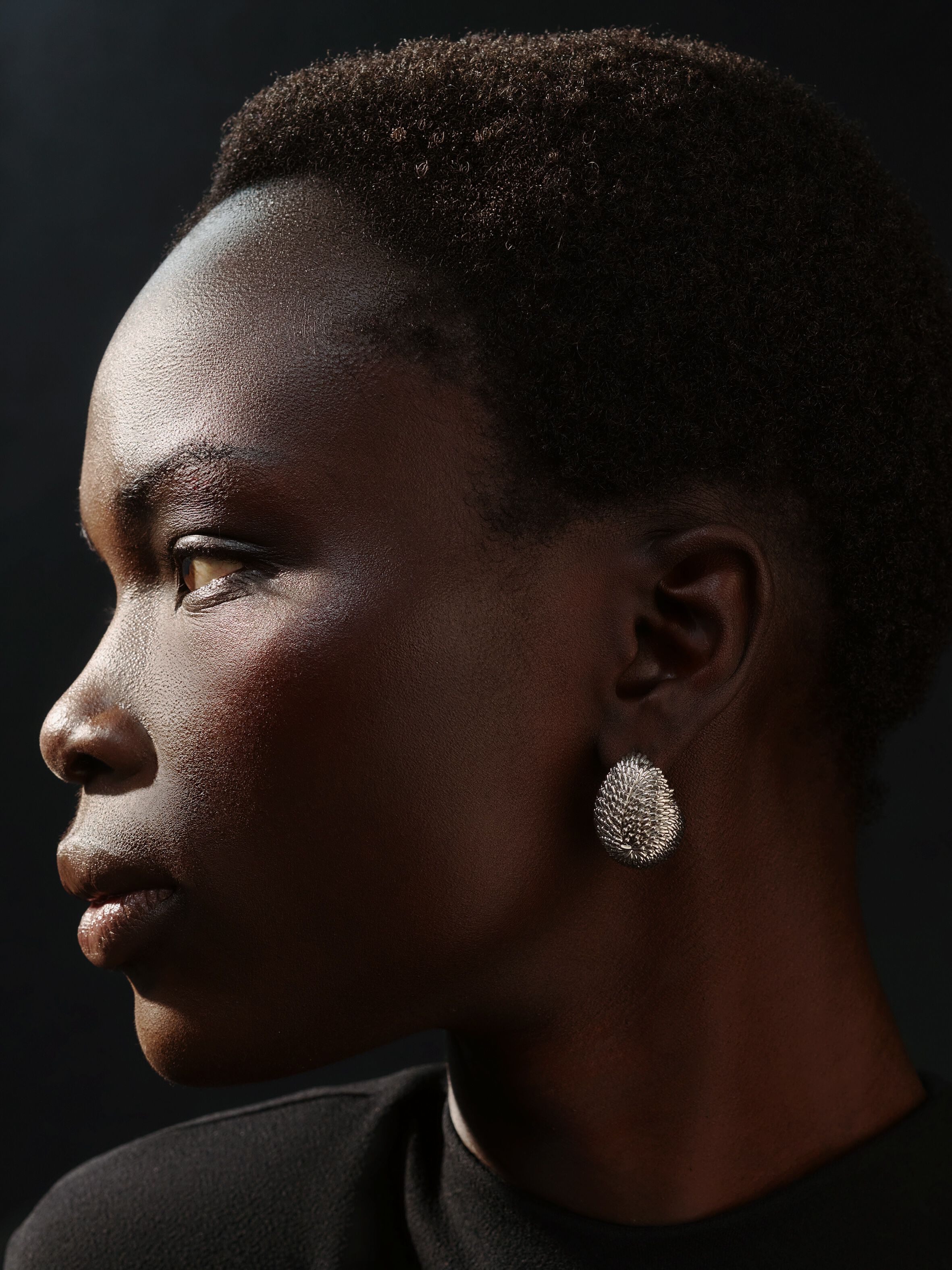 The Hérisson Earrings